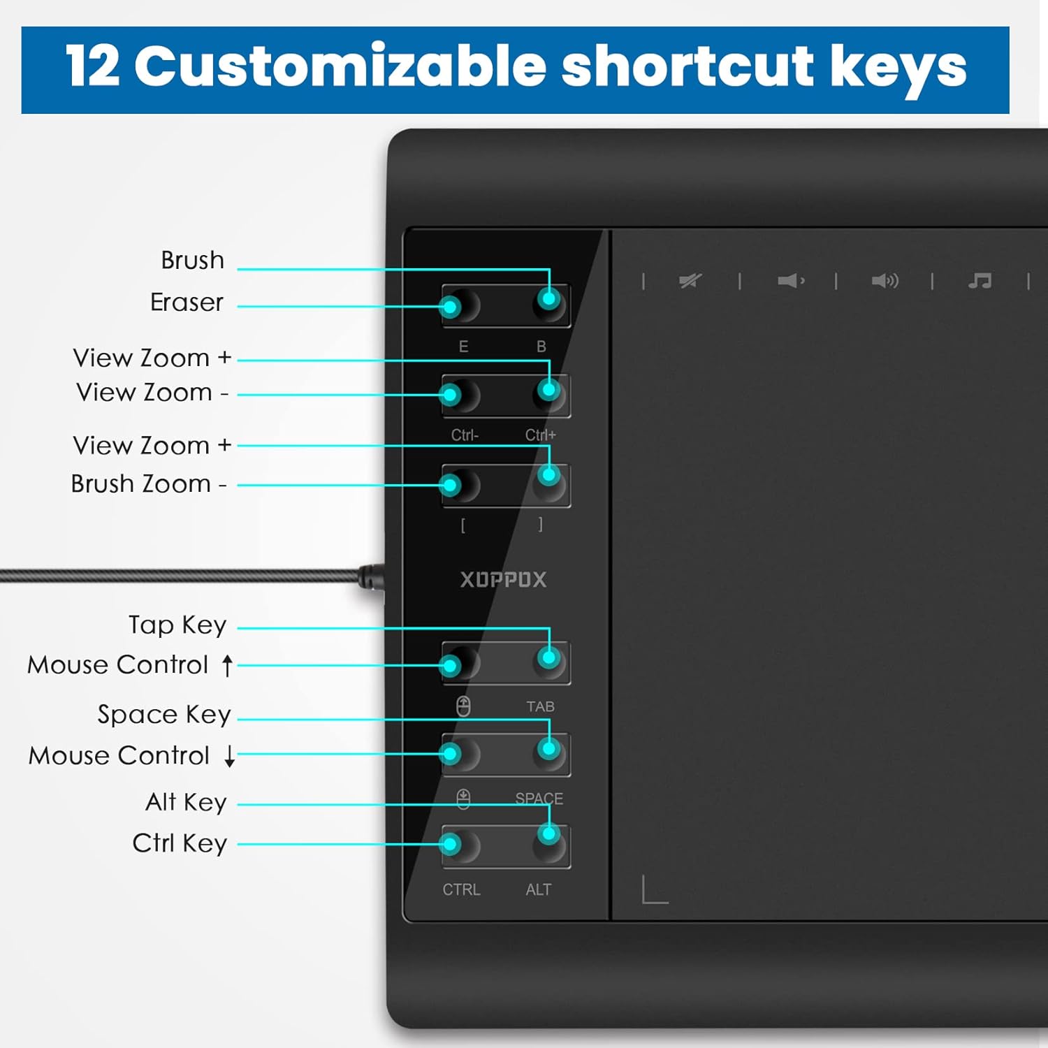 XOPPOX Graphics Drawing Tablet 10 x 6 Inch Large Active Area with 8192 Levels Battery-Free Pen and 12 Hot Keys, Compatible with PC/Mac/Android OS for Painting, Design & Online Teaching Black