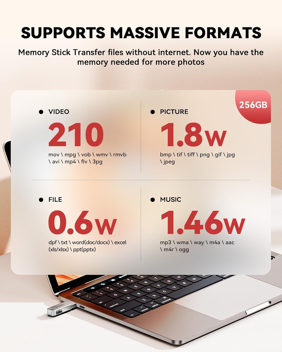 MFi Certified 256GB iPhone Photo Stick, USB Flash Drive for Photo/Video Backup, High-Speed Thumb Drive Compatible for iPhone/iPad/Android/PC (Silver)